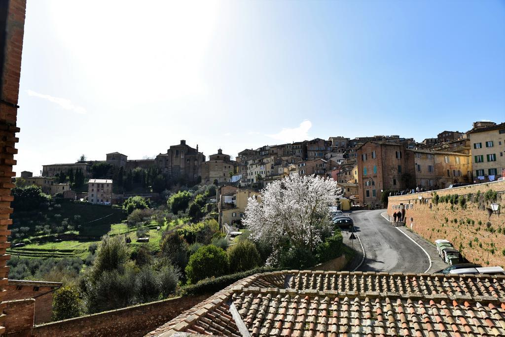 Casa In Contrada Apartment Siena Ngoại thất bức ảnh